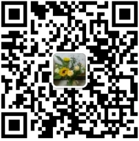 微信截图_20240826152227