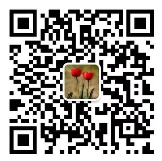 360截图20241119153716721